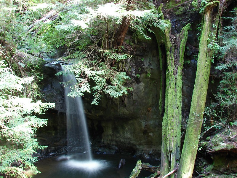 Semperviren Falls in Boulder Creek, California