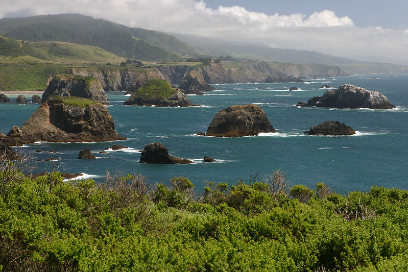 Coast near Zayante, California