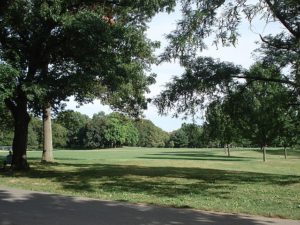 A calm park in Brookdale, California, highlighting vibrant greenery and an assortment of trees in a serene environment.