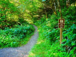 A trail sign stands amidst the woods of Glen Arbor, California, guiding hikers through the serene natural landscape.