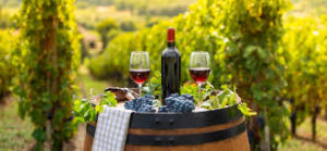 A rustic barrel of wine accompanied by fresh grapes sits on a table amidst the picturesque vineyards of Soquel, California.