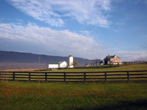 In Watsonville, California, a horse grazes peacefully beside a wooden fence in a lush green field.